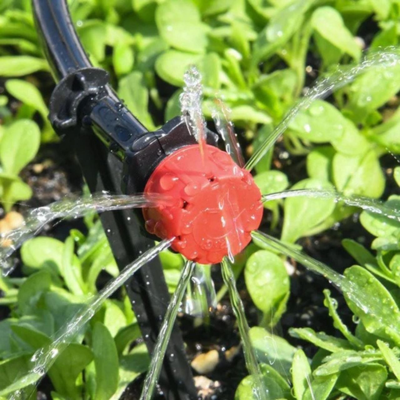 Drippers. soaking drippers (50 pcs) - Image 9