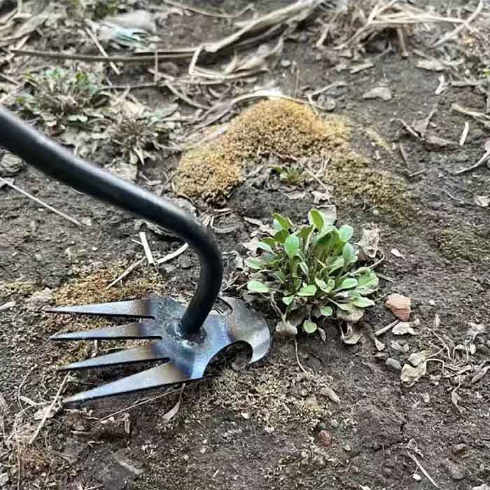 DuoWeeder, the garden weeder - Image 6