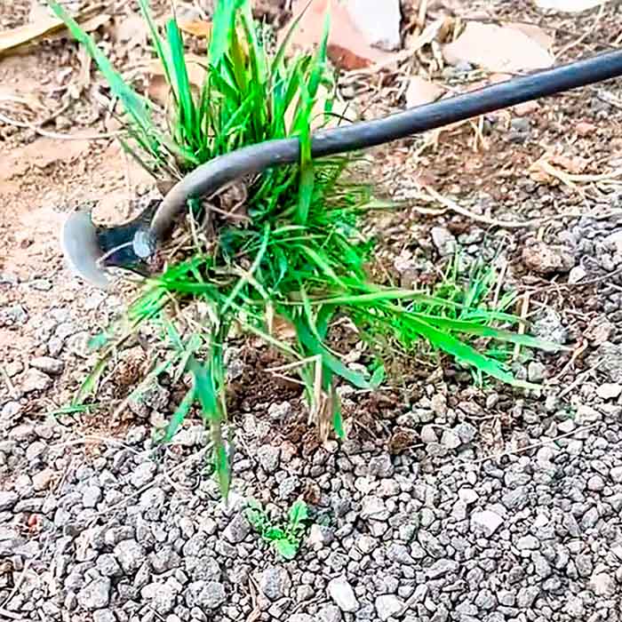 Also suitable for removing plants growing along paving stones and kerbs.