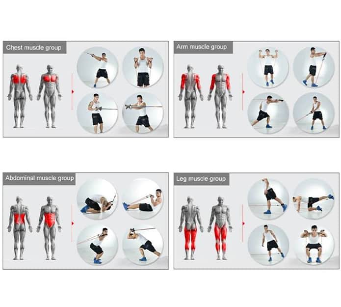 FitBands, training elastics with handles - Image 7