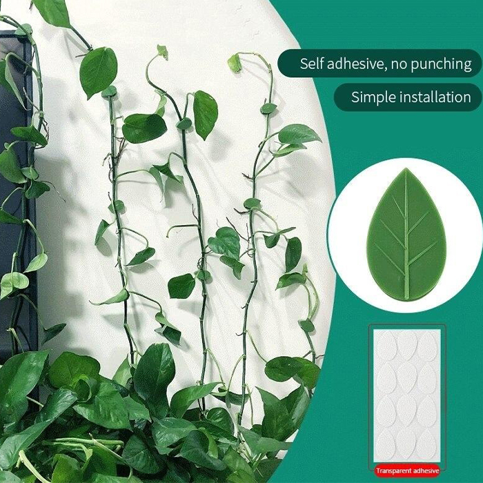 FixtureClips, 10+10 FREE self-adhesive plant branch holders - no drilling! - Image 5