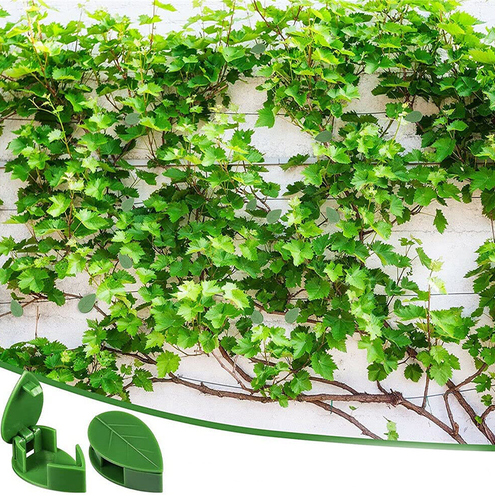 Redesign your space with greenery!