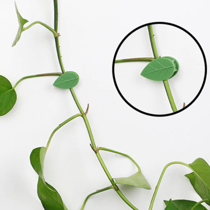 Leaves no glue residue