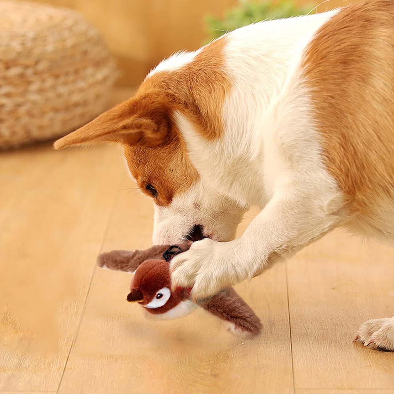 Flappy, the interactive cat toy - Image 3