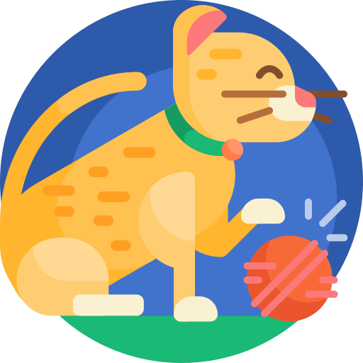 Flappy, the interactive cat toy - Image 10