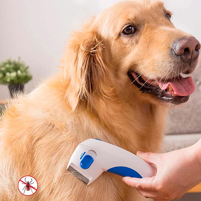 FleaComb, electric flea comb for flea removal and detangling - Image 3