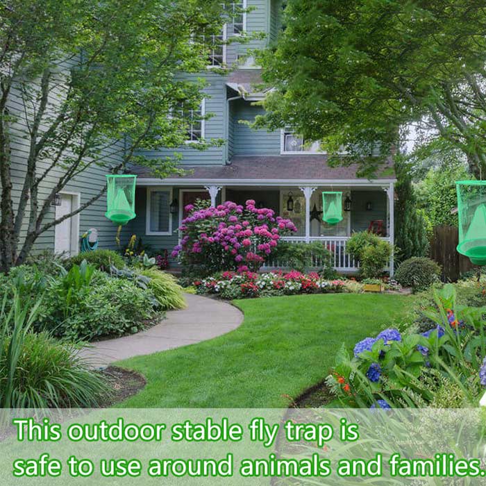 Pour an attractive bait - liquid or food - into the container and insects and insects will be caught in the hammock.