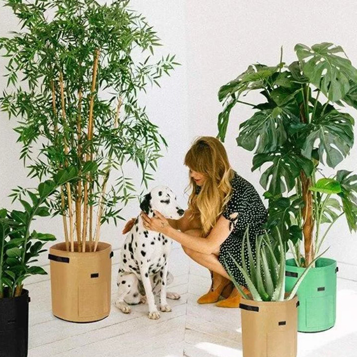 FoldingGarden, portable fabric garden bed - Image 3