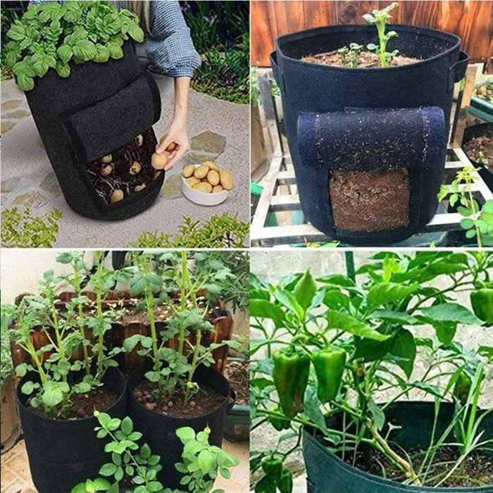 FoldingGarden, portable fabric garden bed - Image 4