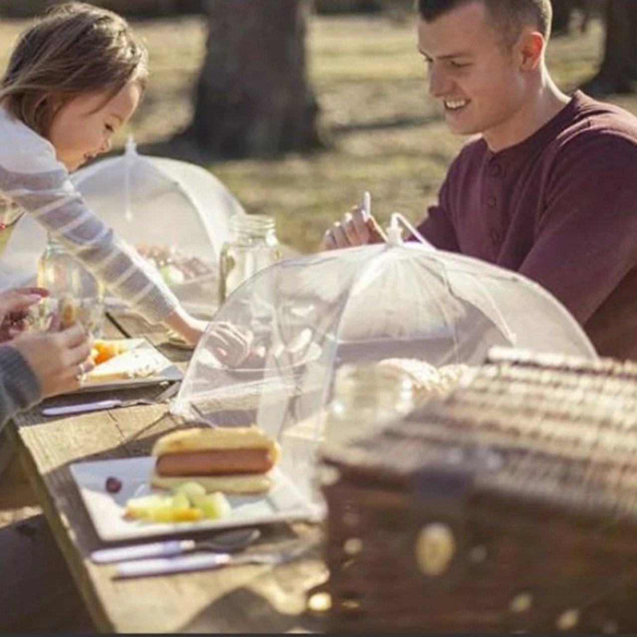 FoodCover, food protection net - against insects - Image 3