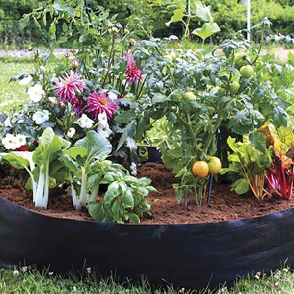 YOUR PLANTS WILL LOOK BEAUTIFUL
