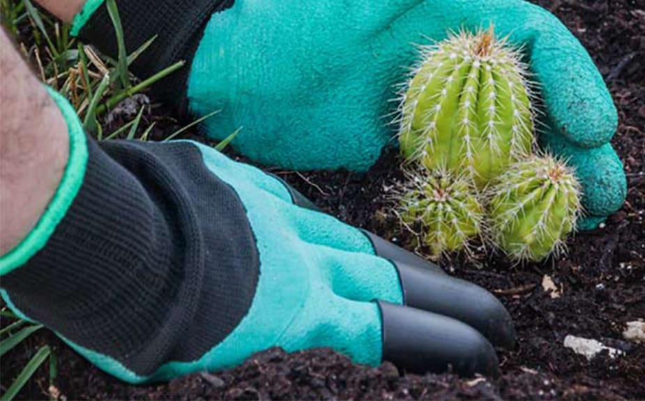 Gardenstar Garden Gloves with Plastic Claws - Image 2