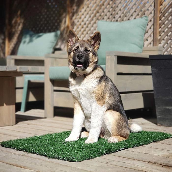 GrassMat, a mat with the appearance of natural grass - Image 5