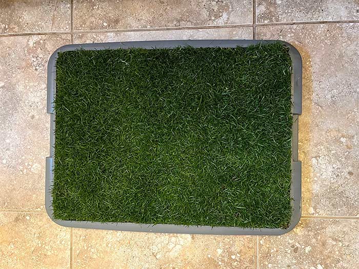 GrassMat, a mat with the appearance of natural grass - Image 9