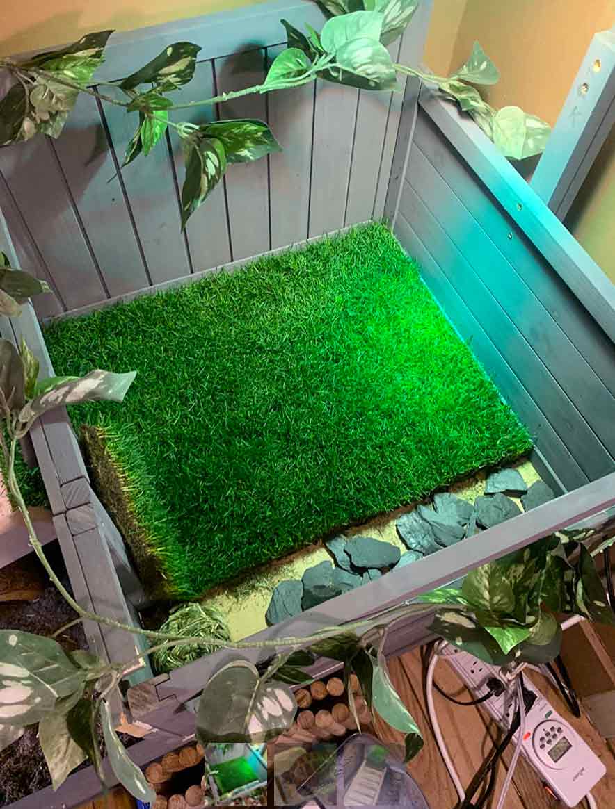 GrassMat, a mat with the appearance of natural grass - Image 10