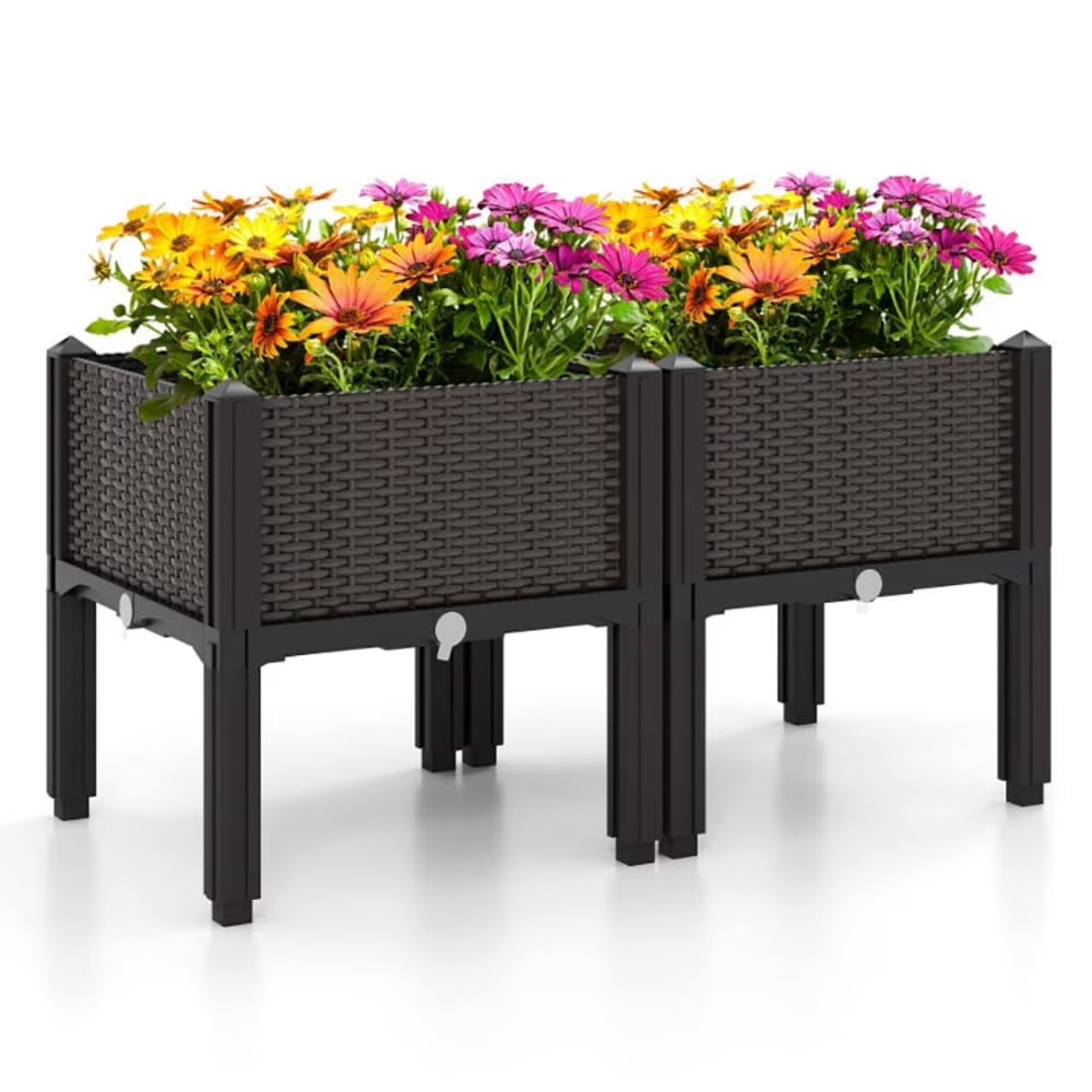 Growsy, raised garden trough - Image 4