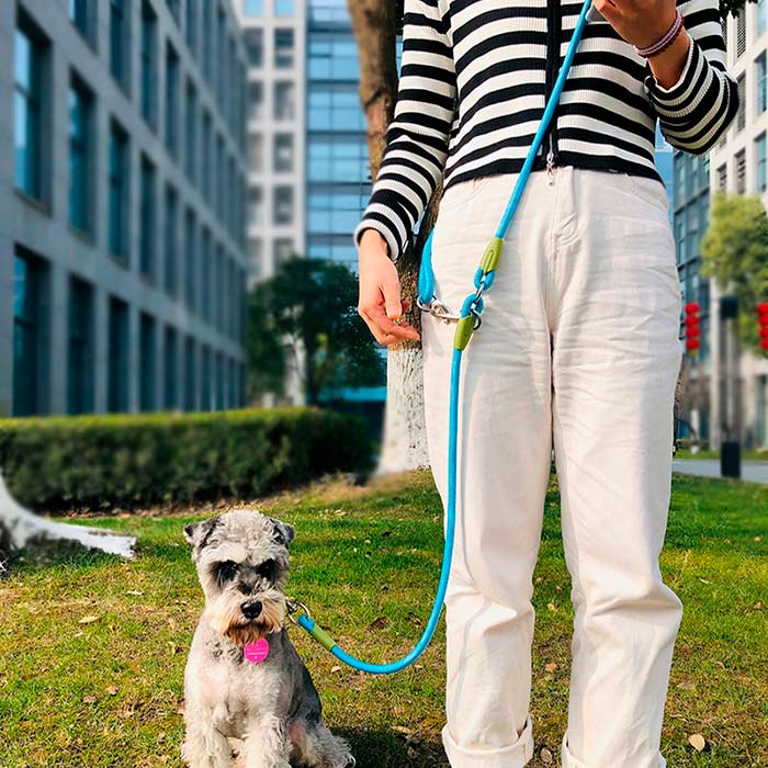 HandsFree, a leash for hands-free dog walking - Image 6