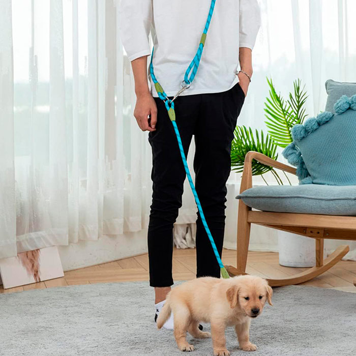 HandsFree, a leash for hands-free dog walking - Image 8