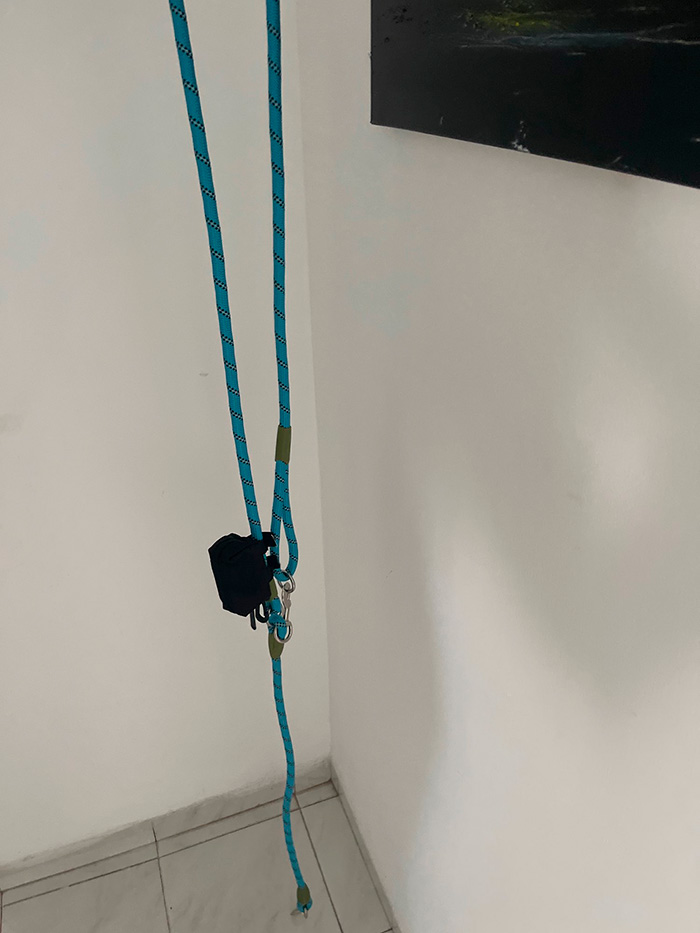 HandsFree, a leash for hands-free dog walking - Image 10
