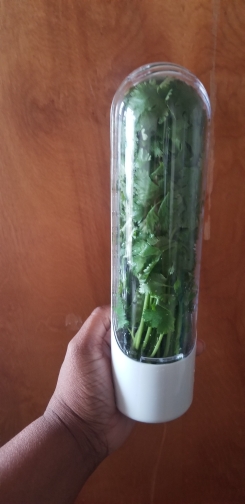 HerbFresh, storage container for spices and other fresh foods - Image 10