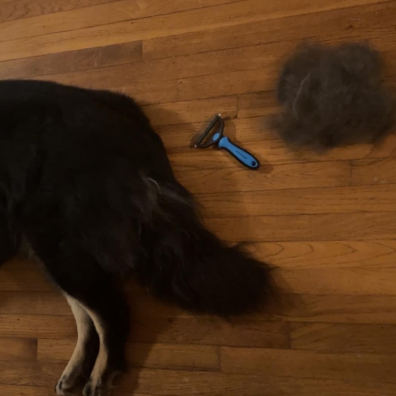 KnotBundle, pet hair clipper (1+1 FREE) and DUO brush for removing pet hair - Image 2