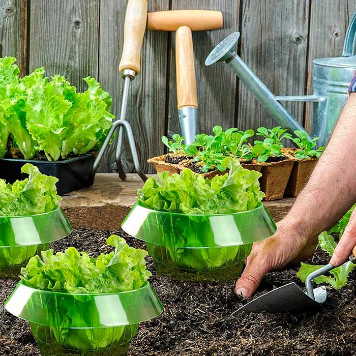 LettuceProtect, protection for lettuce and other crops (10 pieces) - Image 6
