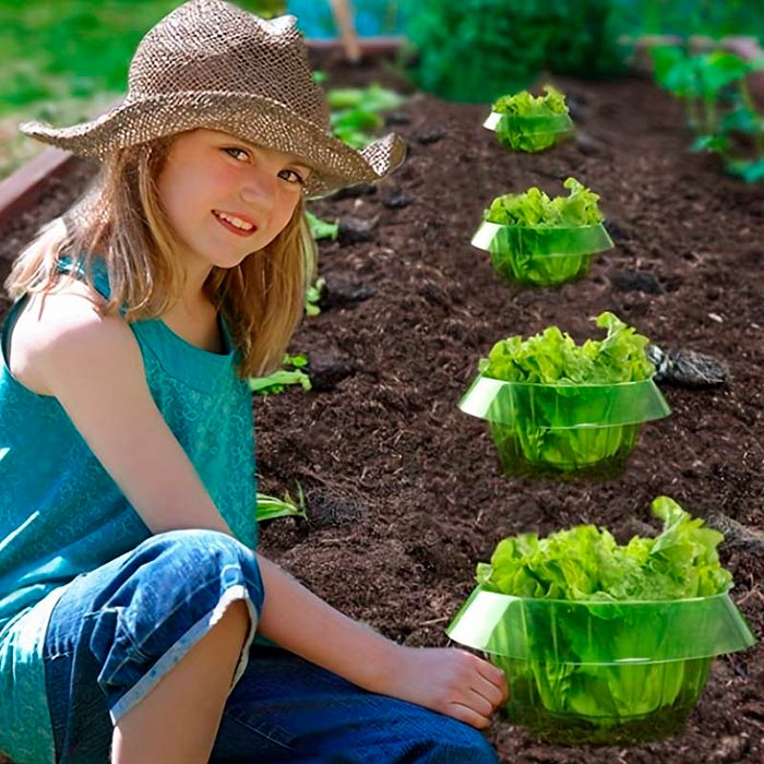 LettuceProtect, protection for lettuce and other crops (10 pieces) - Image 7