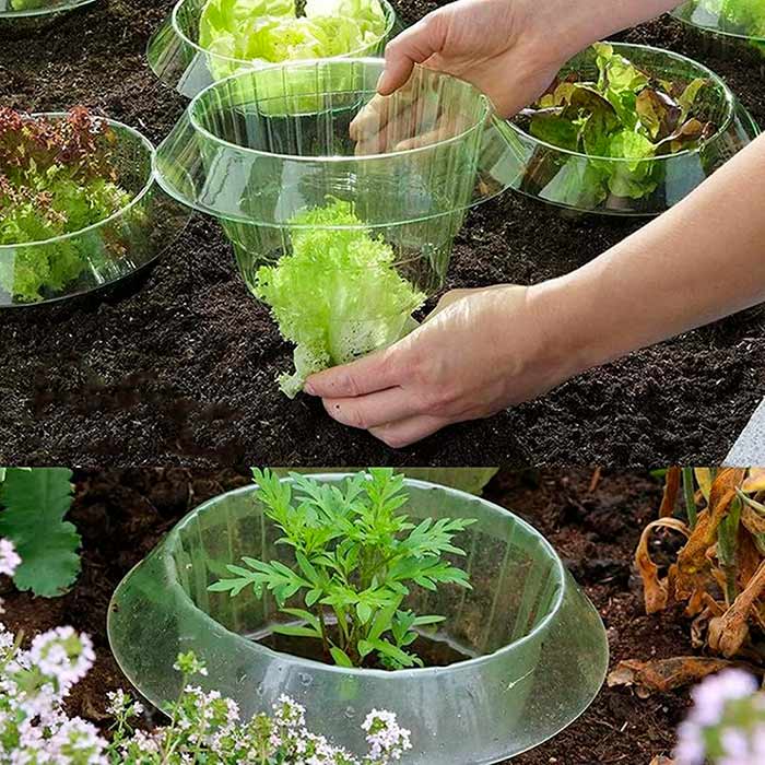 LettuceProtect, protection for lettuce and other crops (10 pieces) - Image 9