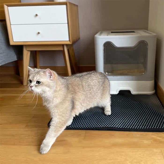 LitterMat, the cat litter trap that catches sand - Image 2