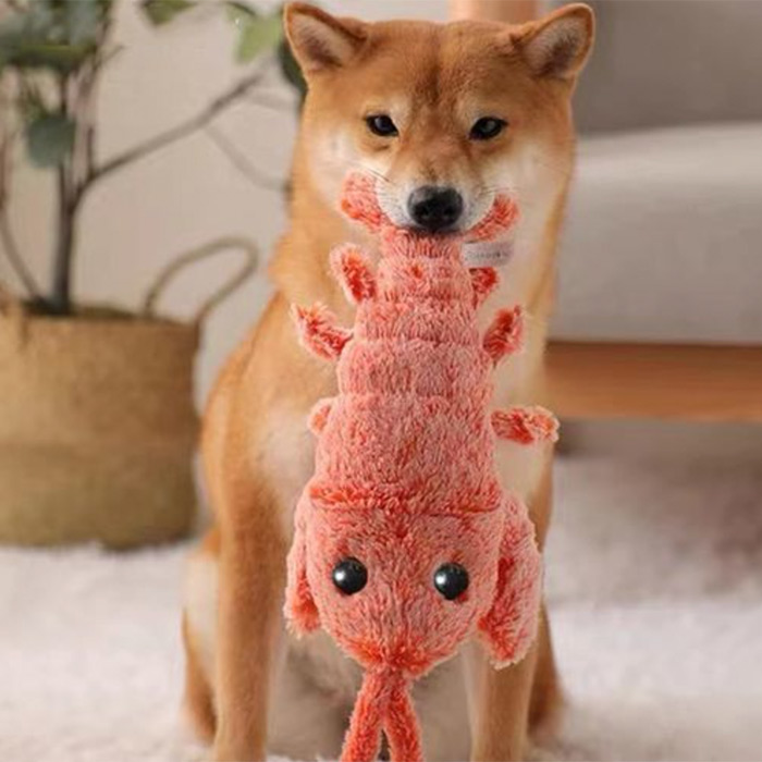LobsterToy, an interactive pet toy in the shape of a lobster - Image 4