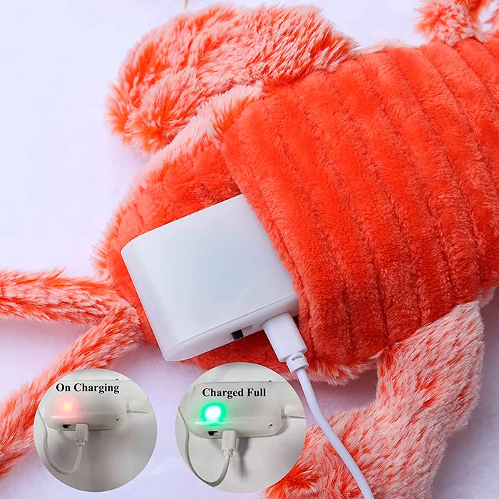 LobsterToy, an interactive pet toy in the shape of a lobster - Image 6