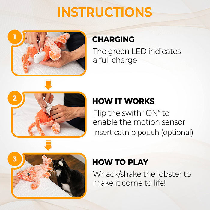 LobsterToy, an interactive pet toy in the shape of a lobster - Image 7