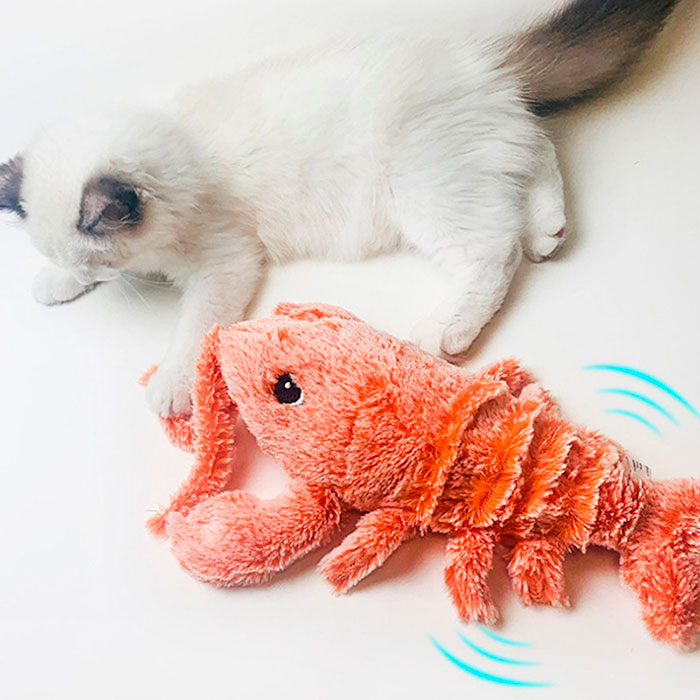LobsterToy, an interactive pet toy in the shape of a lobster - Image 9