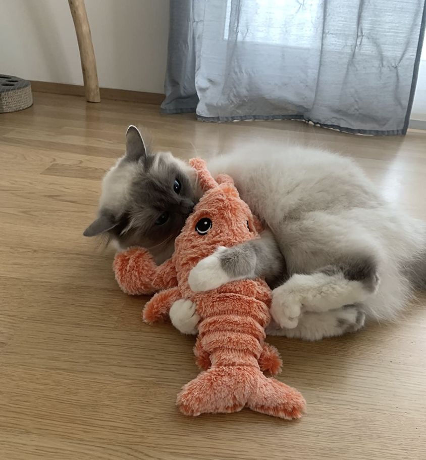 LobsterToy, an interactive pet toy in the shape of a lobster - Image 10