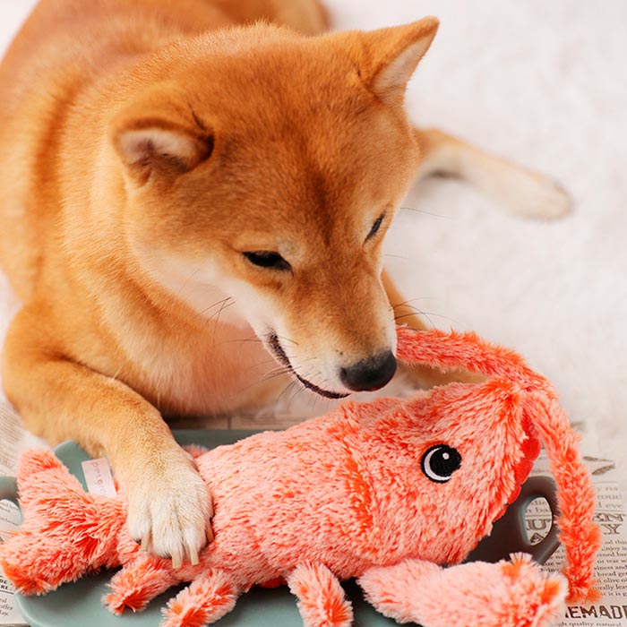 An interactive toy for dogs, cats and other pets to relieve stress and tension!