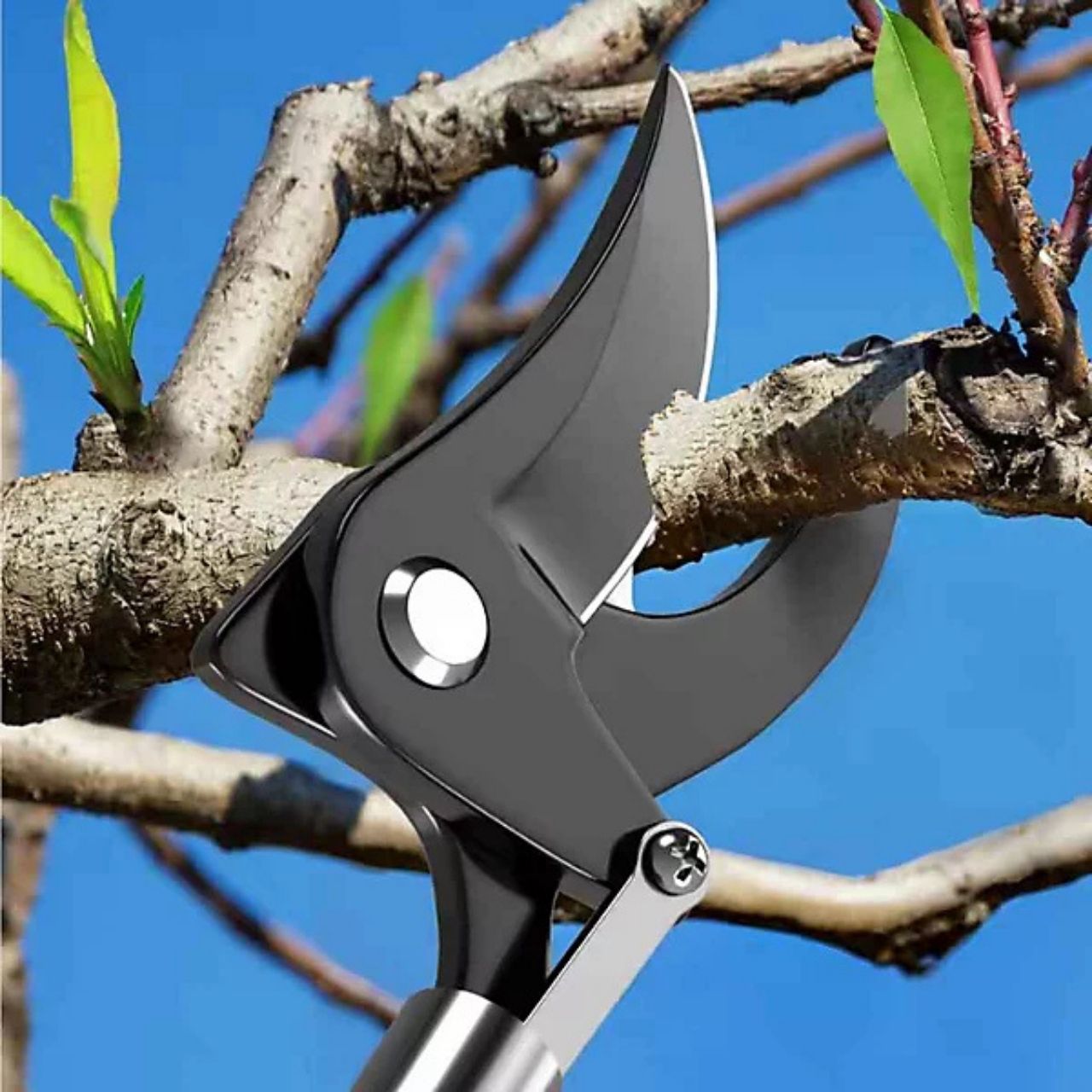 LongShears, loppers - Image 2