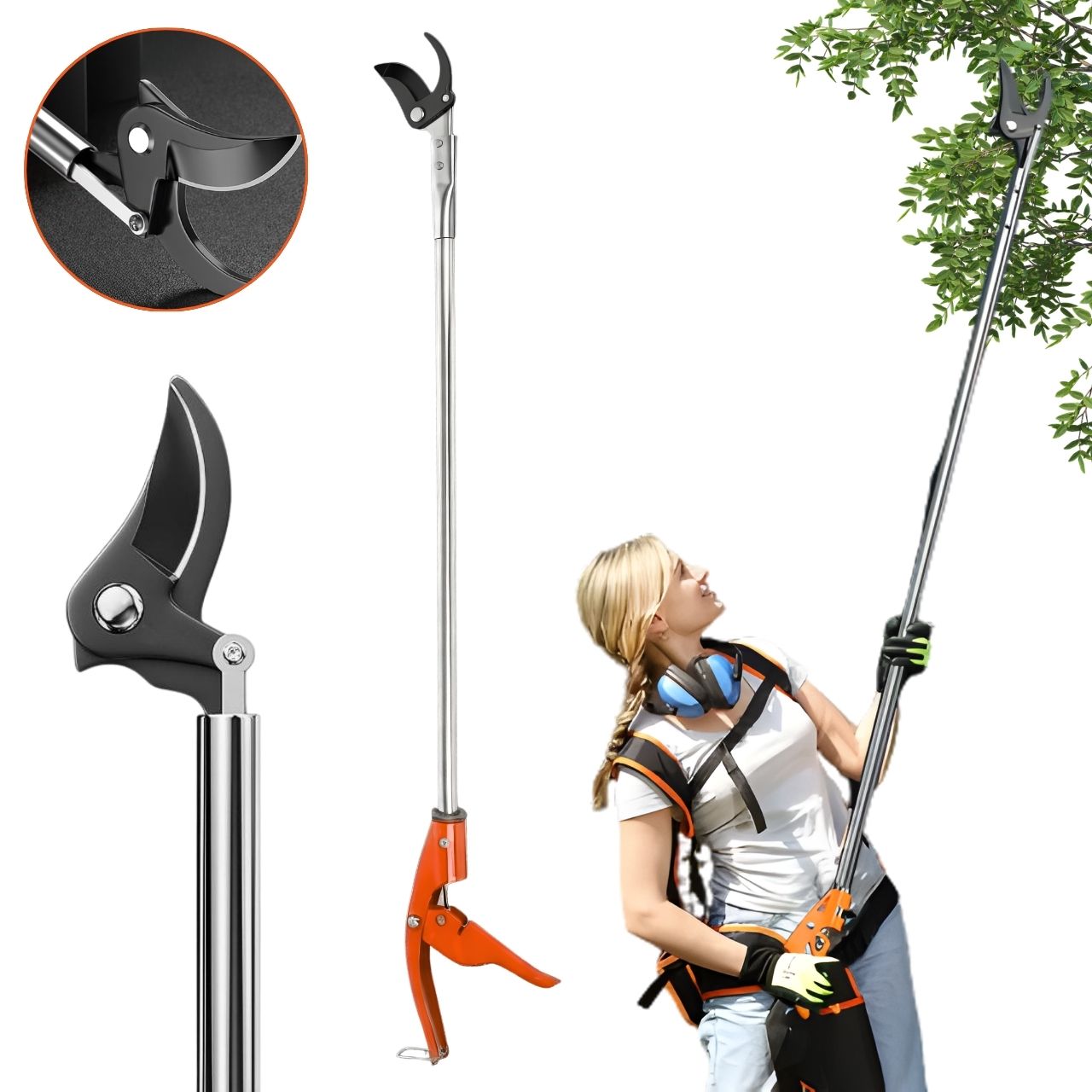 For pruning high branches