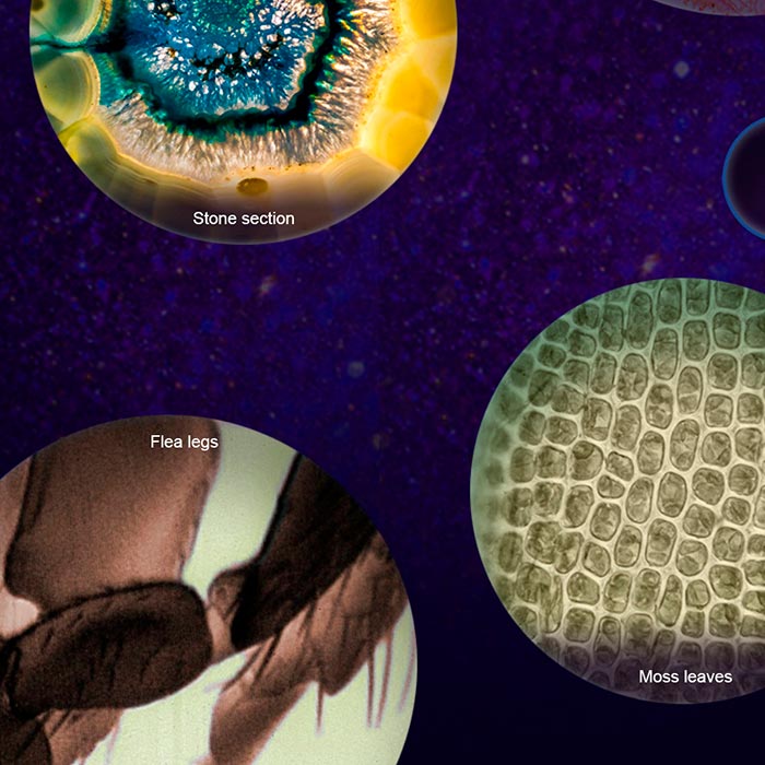 MicroscopeKit, portable children's microscope - Image 9