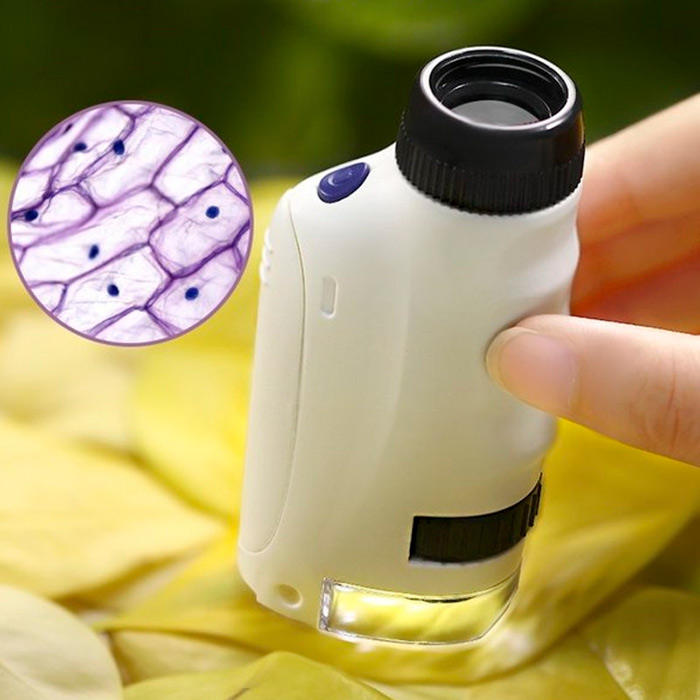Encourage your child to spend quality time in nature – with a microscope, your child can explore the composition of leaves, trees, flowers and other plants and objects made of different materials!
