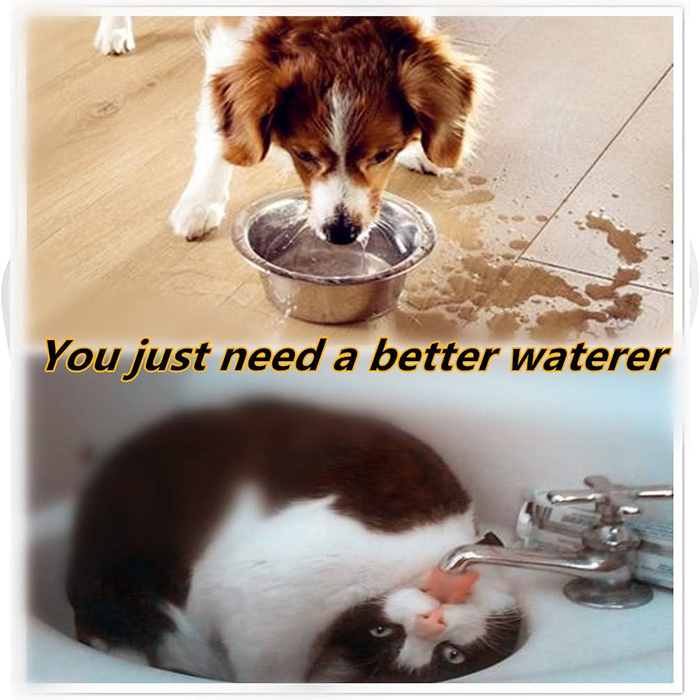 NoSplashBowl, the dog's drinking bowl - Image 6