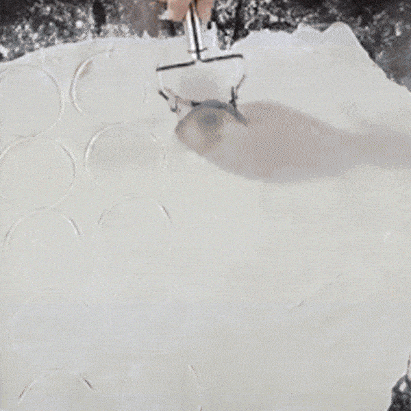 PastaMaker, professional set for making homemade pasta - Image 5