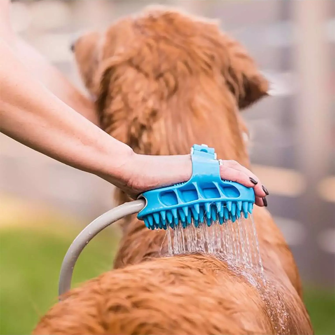 PawBath, multi-purpose massage brush for bathing pets - Image 8