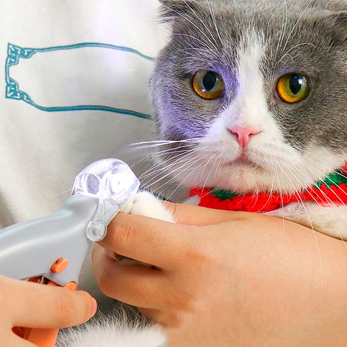PawGloTrim, claw clipper with LED light - Image 7