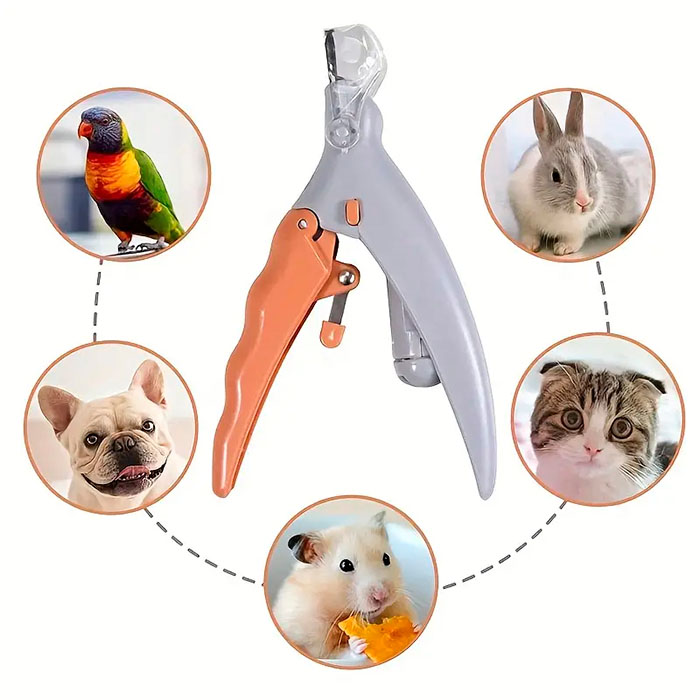 The gadget has a lens that brings the claw up to 5 times closer!