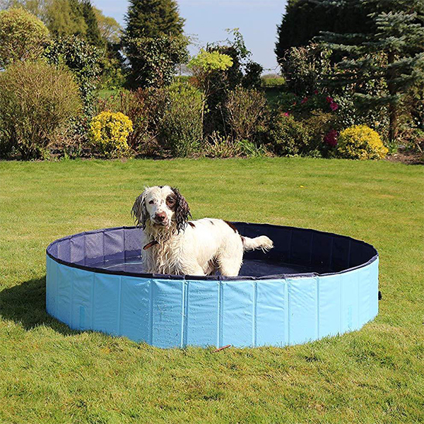 PawlyPool, a multi-purpose retractable pool that sets up without inflating - Image 2