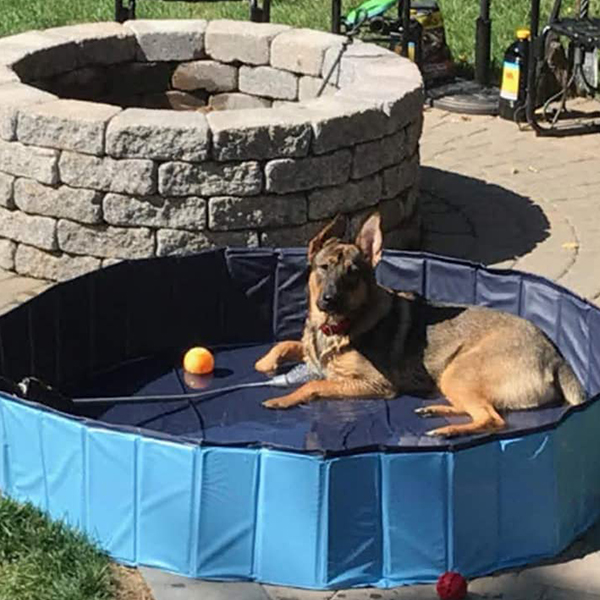 PawlyPool, a multi-purpose retractable pool that sets up without inflating - Image 3