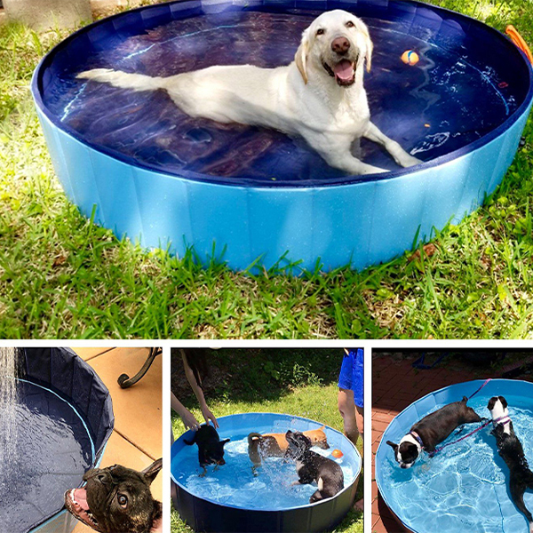 PawlyPool, a multi-purpose retractable pool that sets up without inflating - Image 5