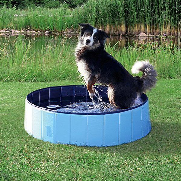 PawlyPool, a multi-purpose retractable pool that sets up without inflating - Image 10