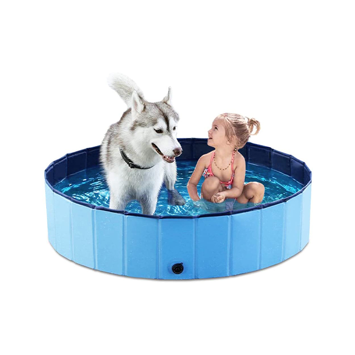 For dogs of all sizes