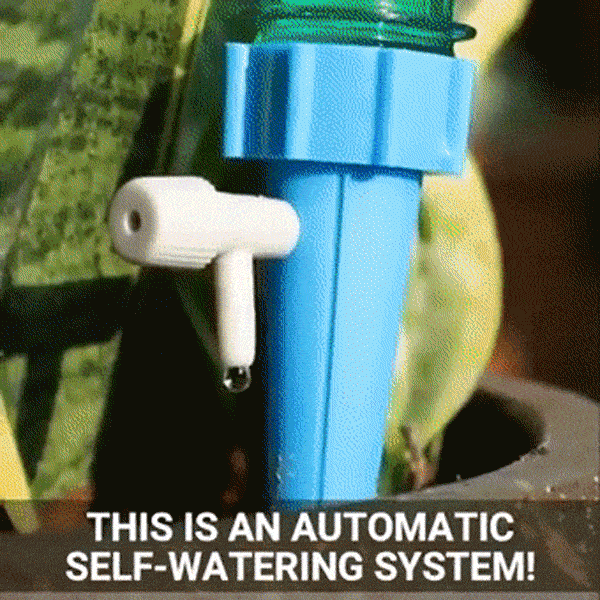 YOUR PLANTS WILL LOOK BEAUTIFUL
